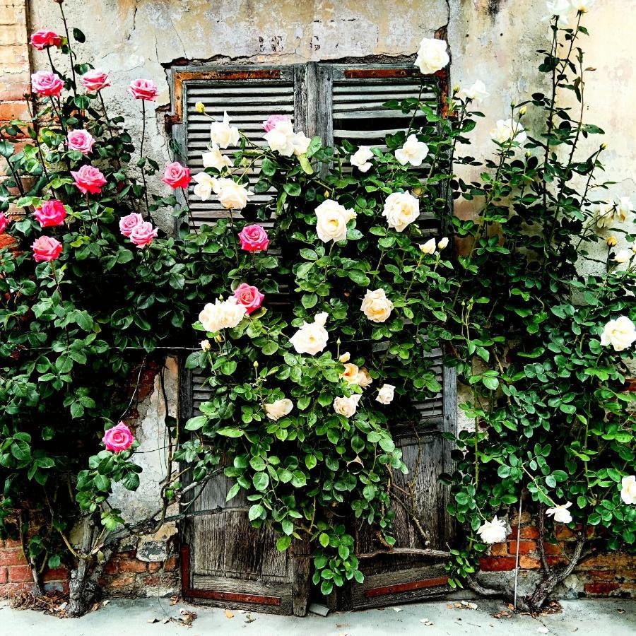 Teresa Al Belvedere Rooms&Holidayapartments Camere&Appartamenti Castellinaldo Exterior foto