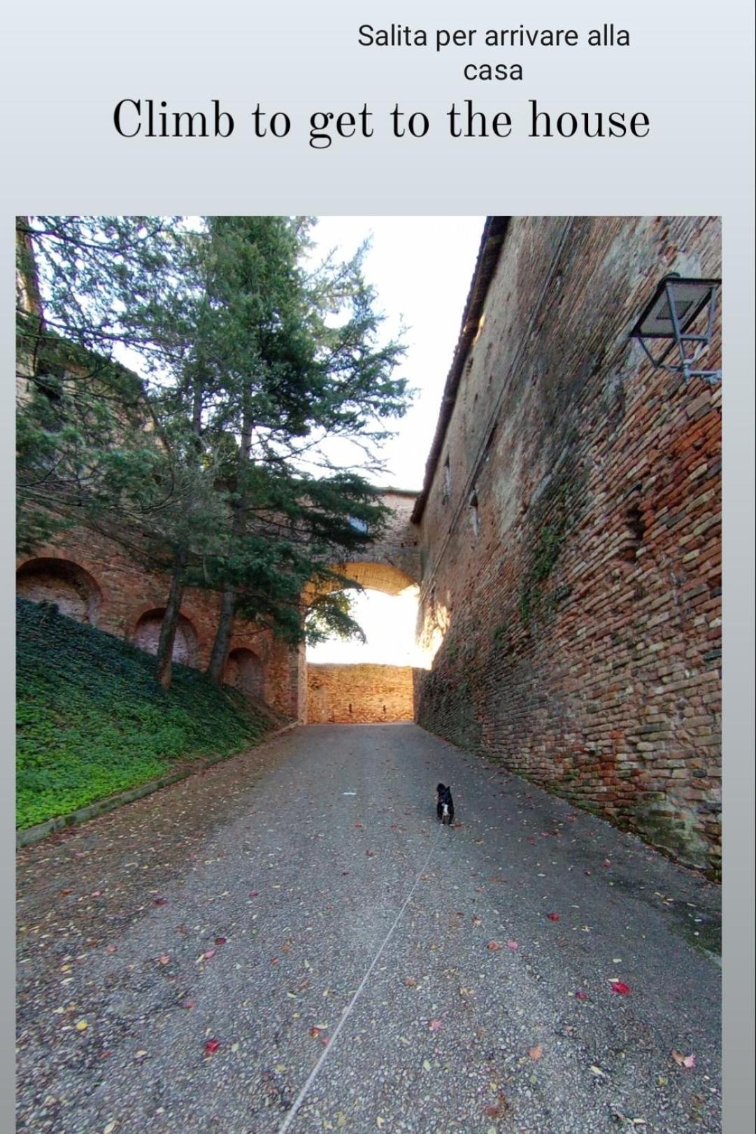 Teresa Al Belvedere Rooms&Holidayapartments Camere&Appartamenti Castellinaldo Exterior foto