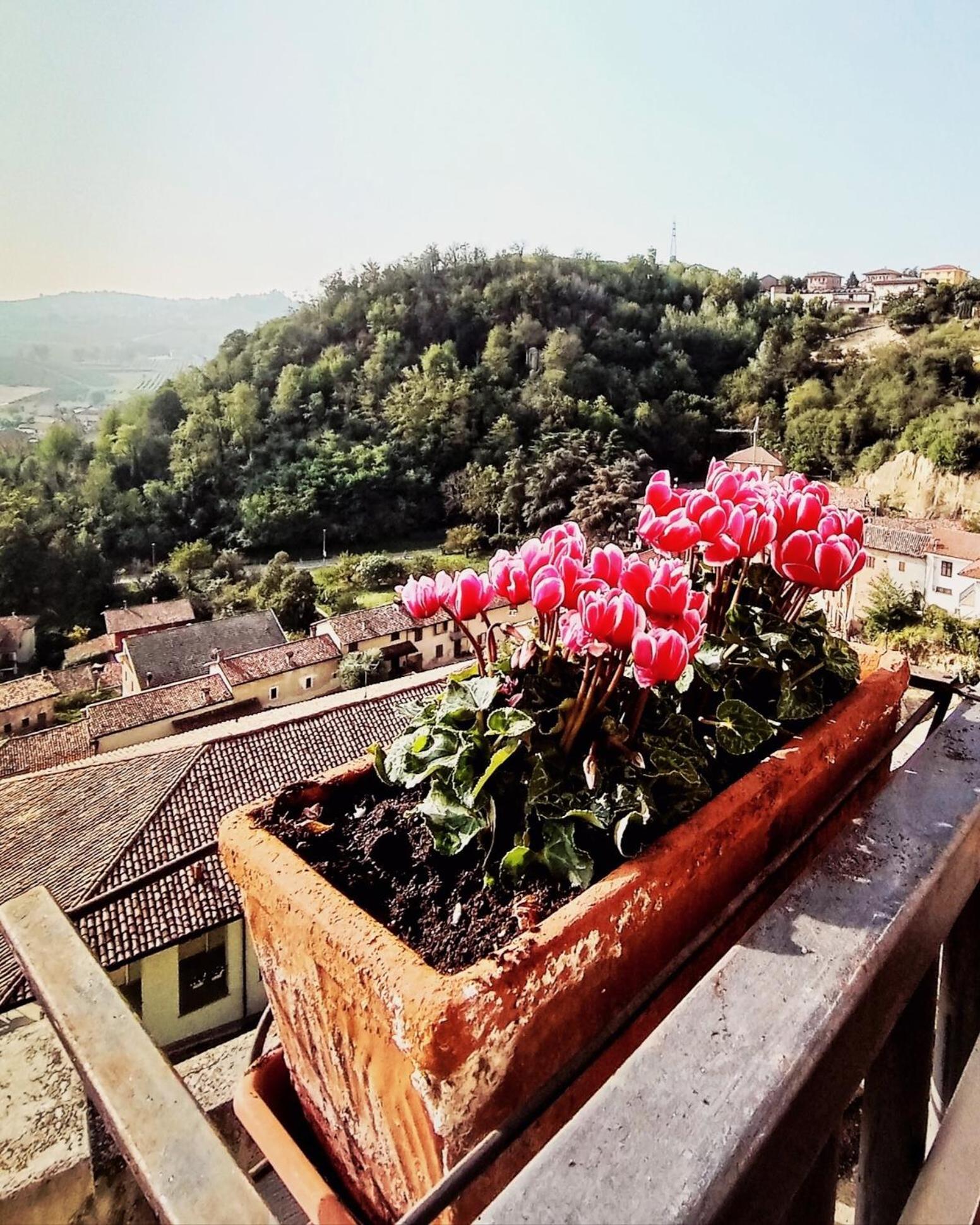 Teresa Al Belvedere Rooms&Holidayapartments Camere&Appartamenti Castellinaldo Exterior foto